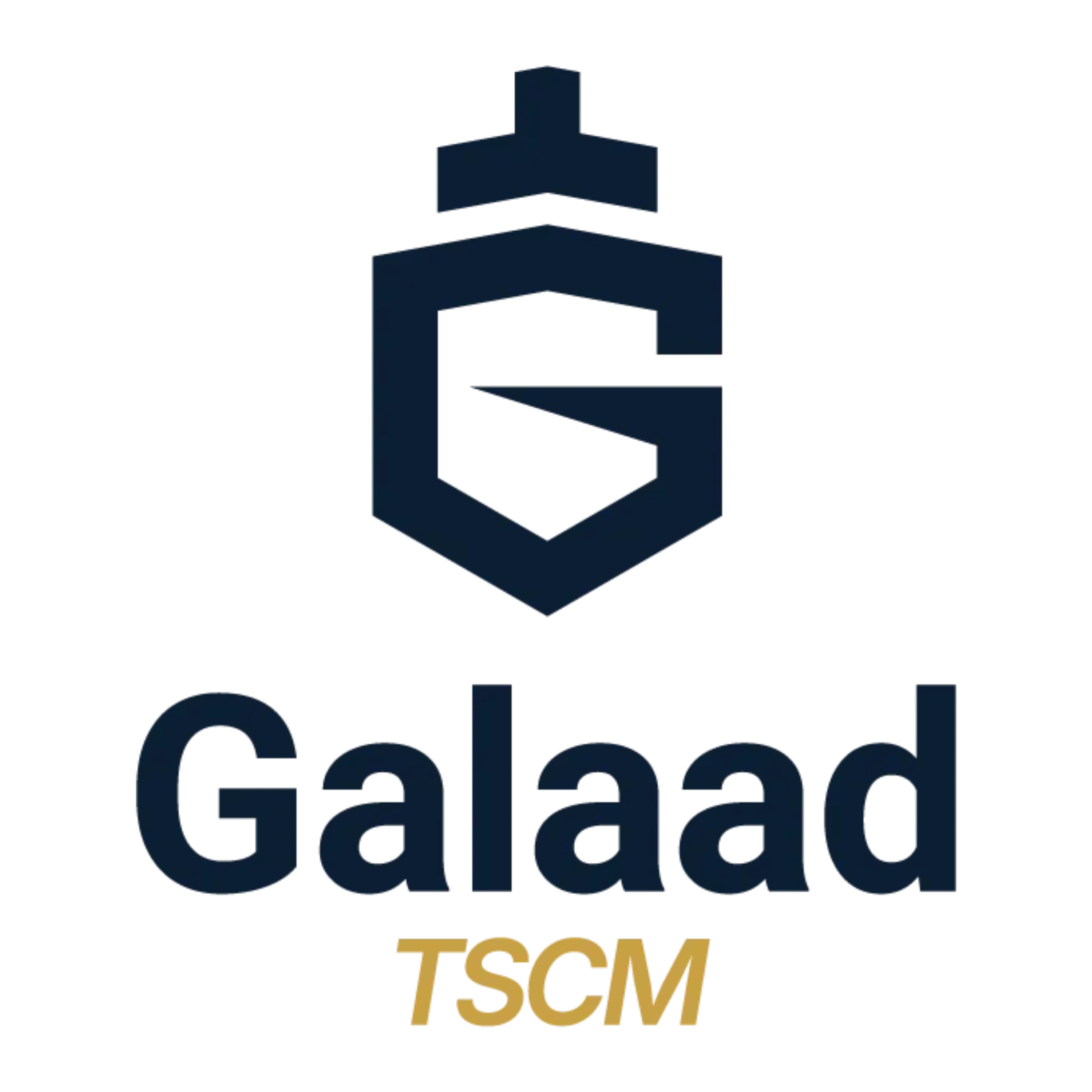 Logo Galaad TSCM